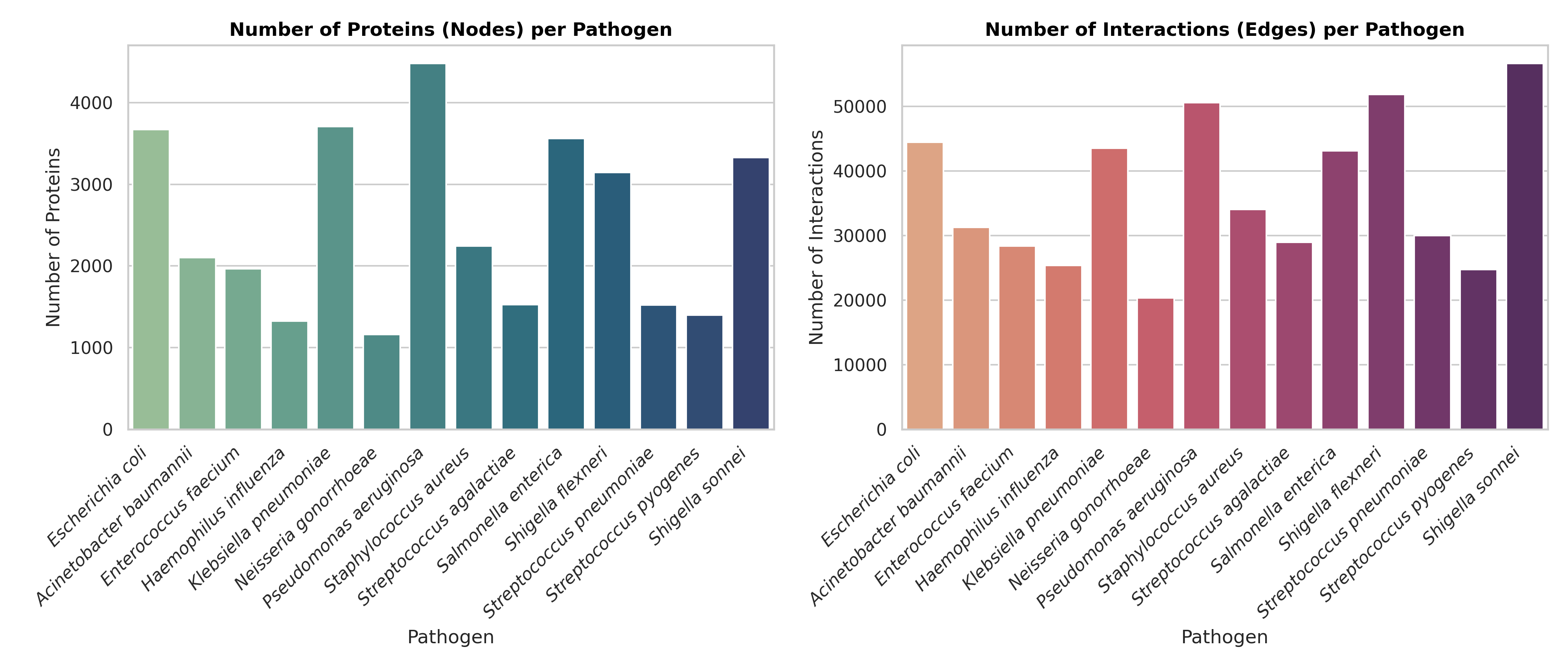 Protein-Protein Interaction Network Plot