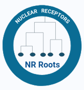 NR Roots