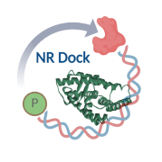 NRDock