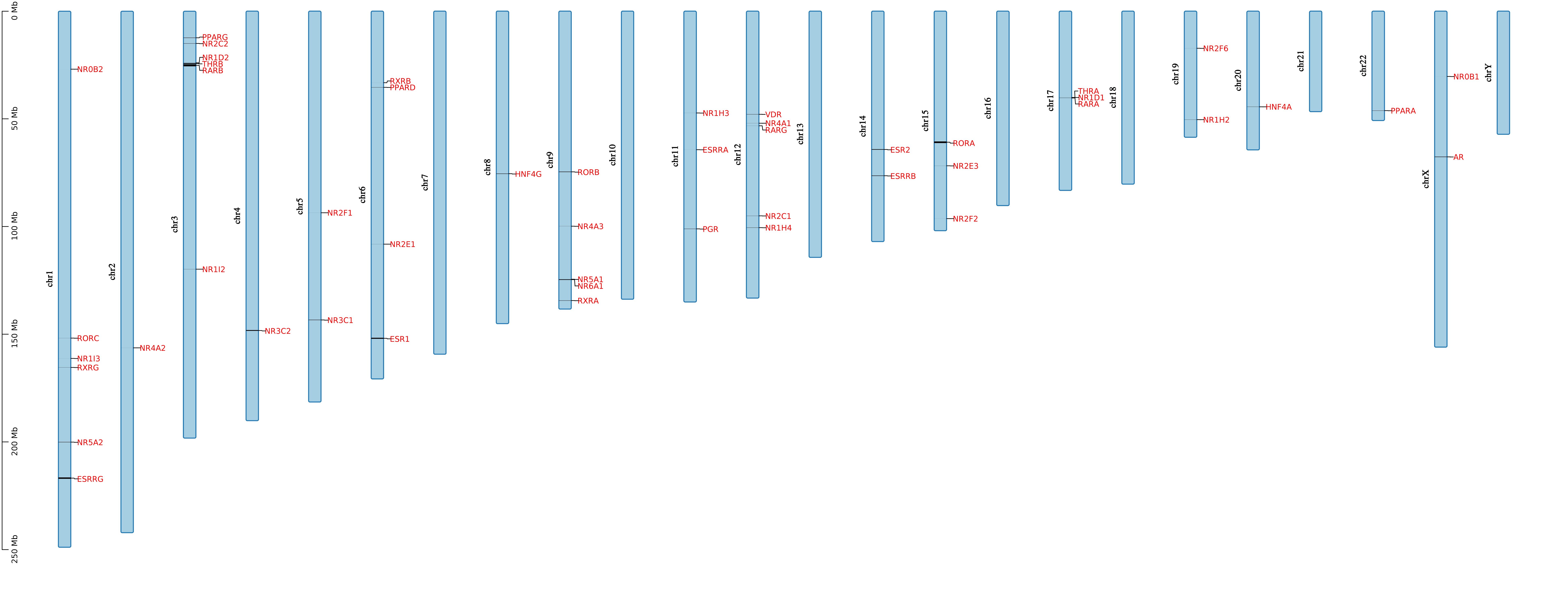 Chromosome Distribution