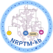 NRPTMKB Logo